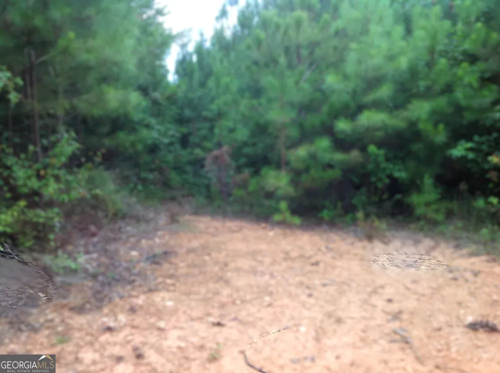 0 Co Rd 49 Muscadine, AL 36269
