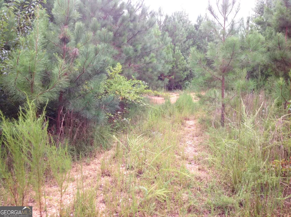 0 Co Rd 49 Muscadine, AL 36269
