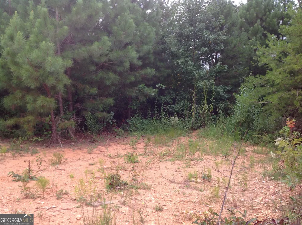 0 Co Rd 49 Muscadine, AL 36269