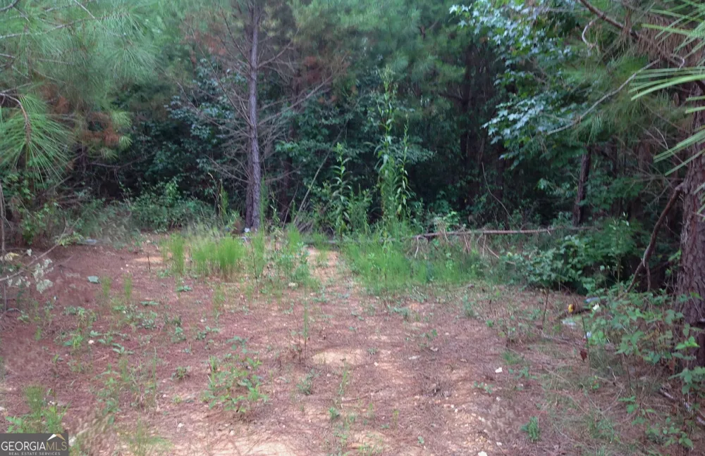 0 Co Rd 49 Muscadine, AL 36269