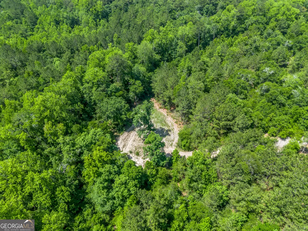 0 Red Oak DR Jesup, GA 31545