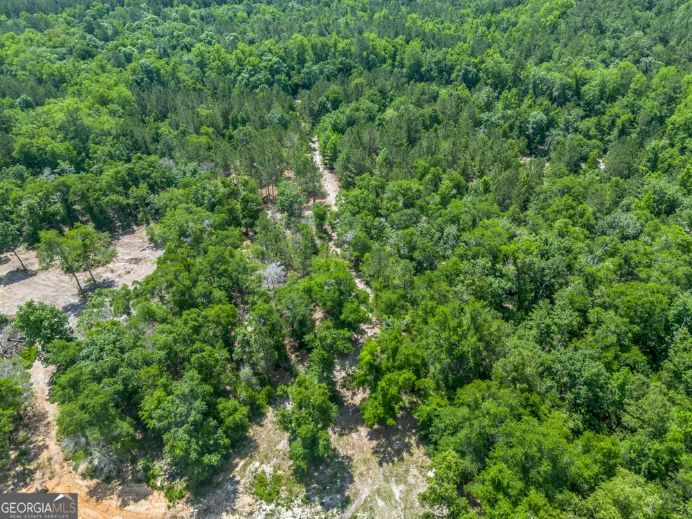 0 Red Oak DR Jesup, GA 31545