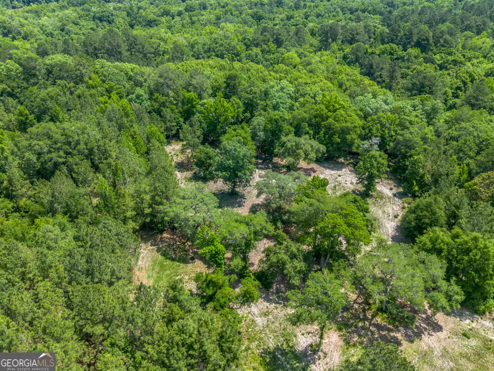 0 Red Oak DR Jesup, GA 31545