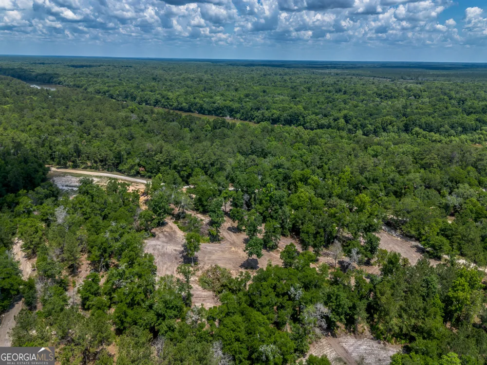 0 Red Oak DR Jesup, GA 31545