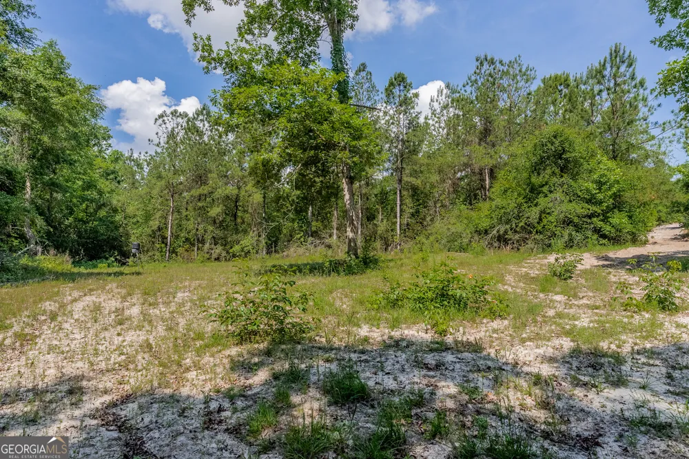 0 Red Oak DR Jesup, GA 31545