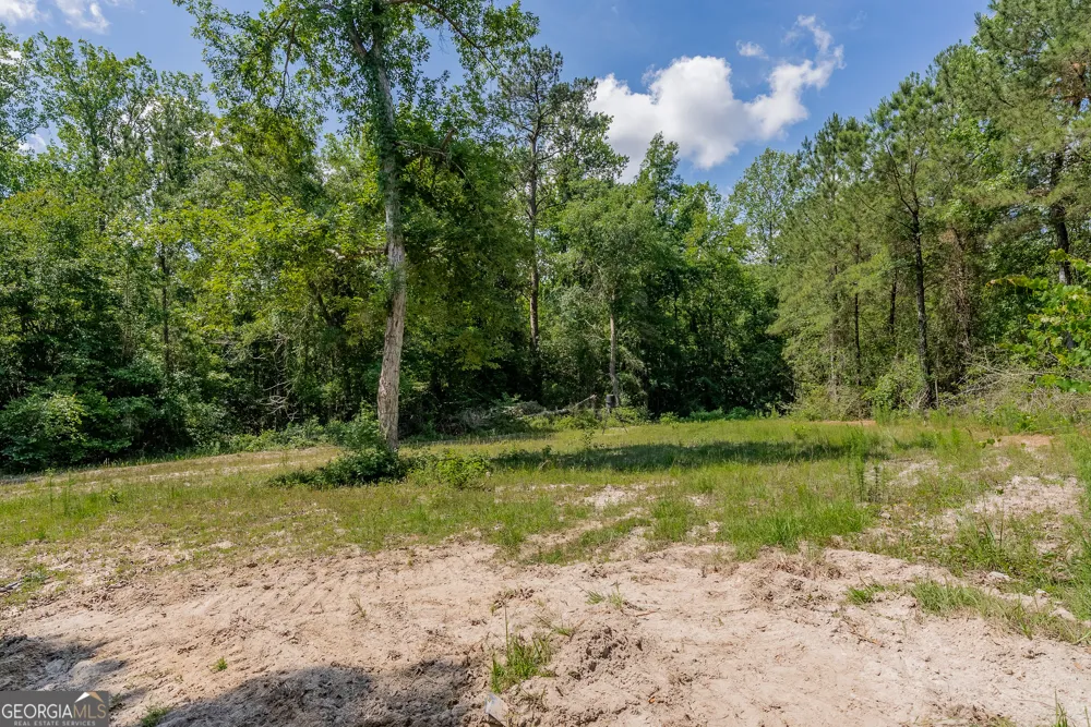 0 Red Oak DR Jesup, GA 31545