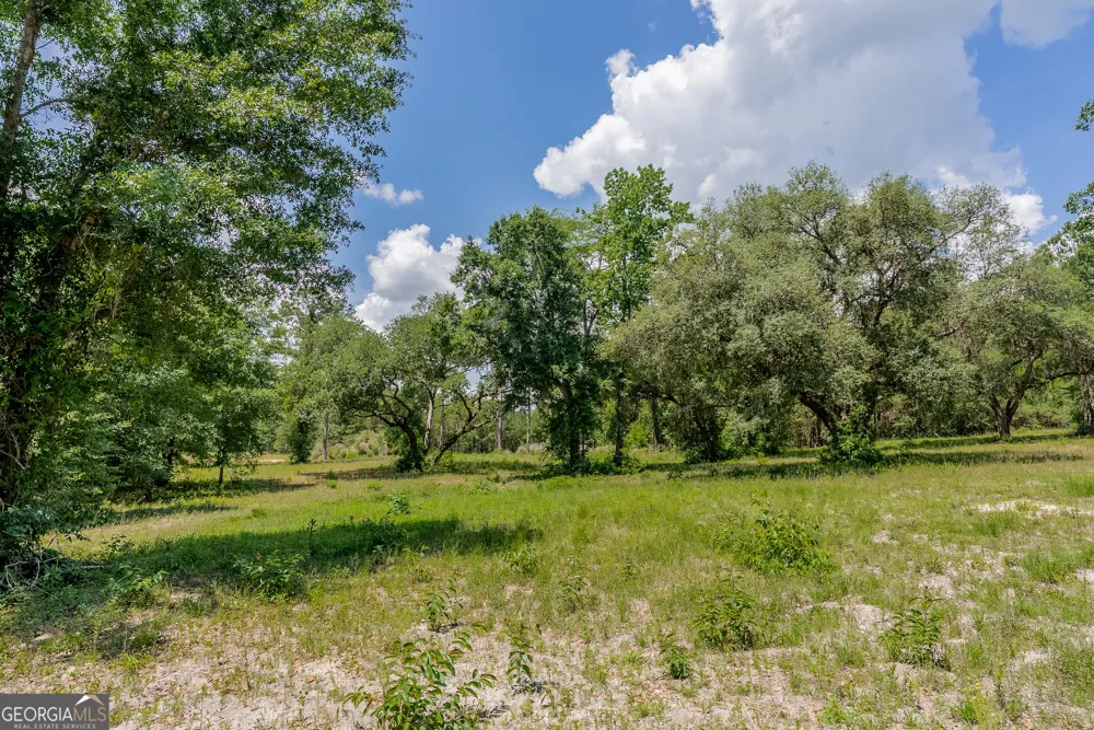 0 Red Oak DR Jesup, GA 31545