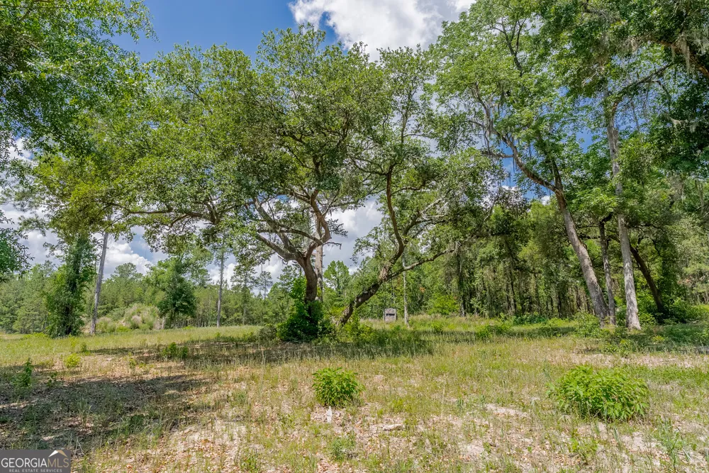 0 Red Oak DR Jesup, GA 31545