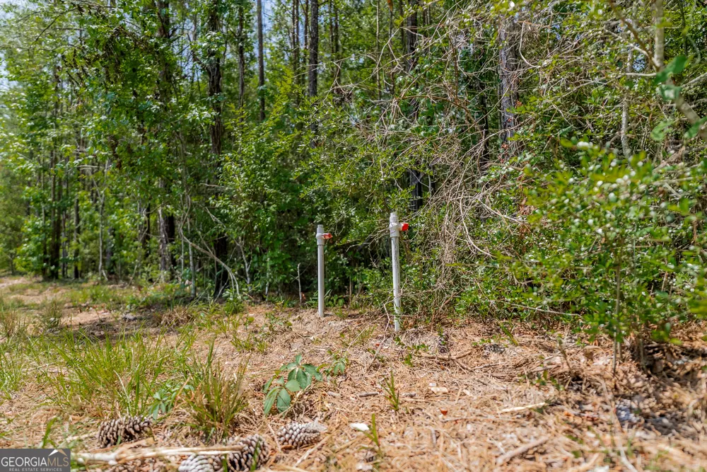 0 Red Oak DR Jesup, GA 31545