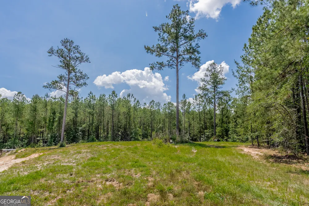 0 Red Oak DR Jesup, GA 31545