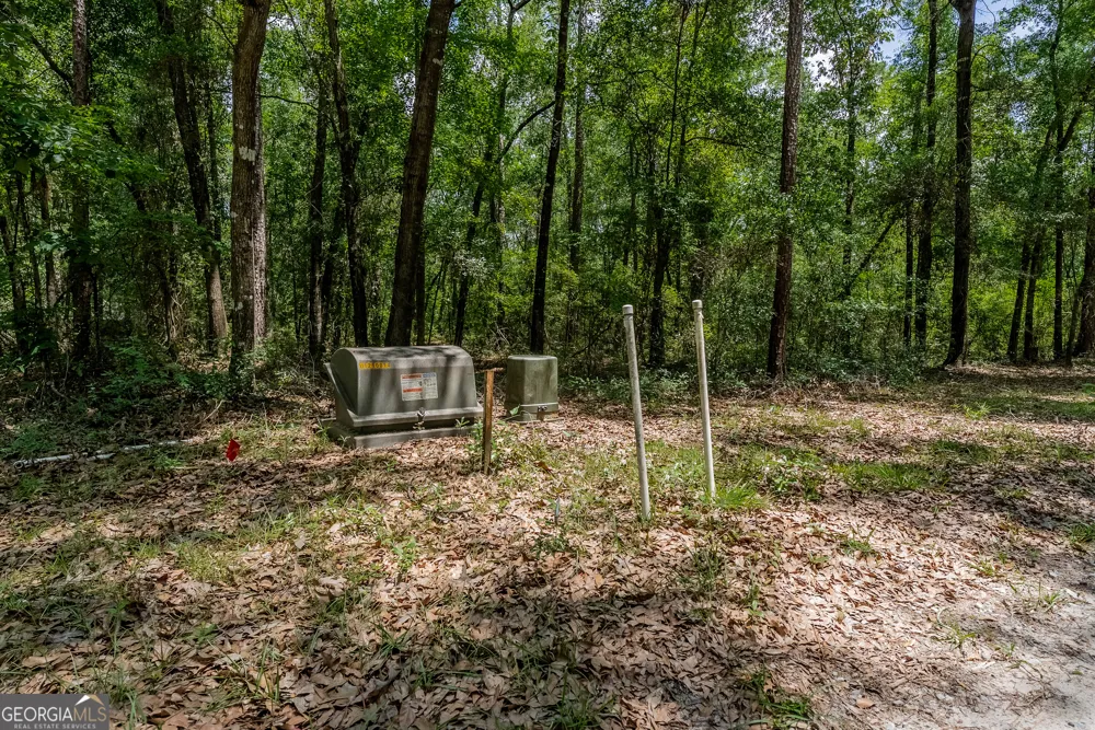 0 Red Oak DR Jesup, GA 31545