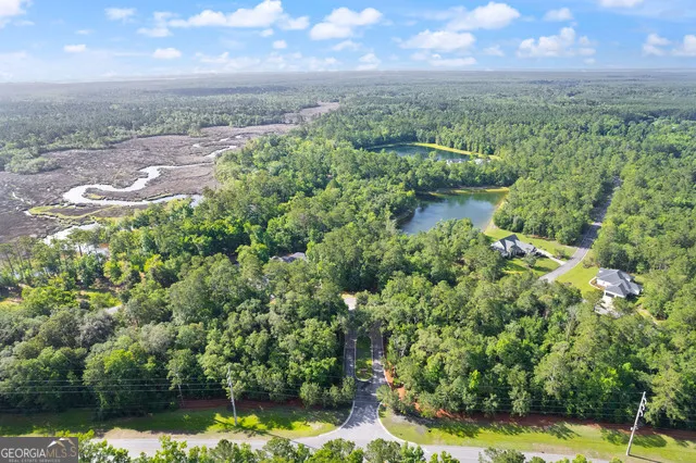 LOT 35 Timmons DR Waverly, GA 31565