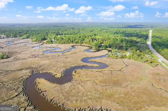 LOT 49 Bluffs LNDG Waverly, GA 31565