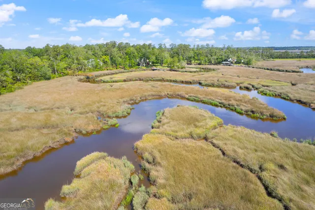 LOT 49 Bluffs LNDG Waverly, GA 31565