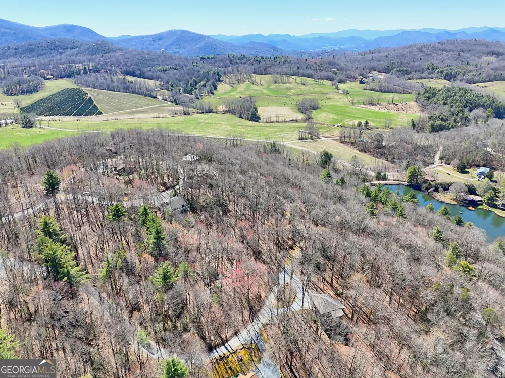 437 Highpoint DR Scaly Mountain, NC 28775