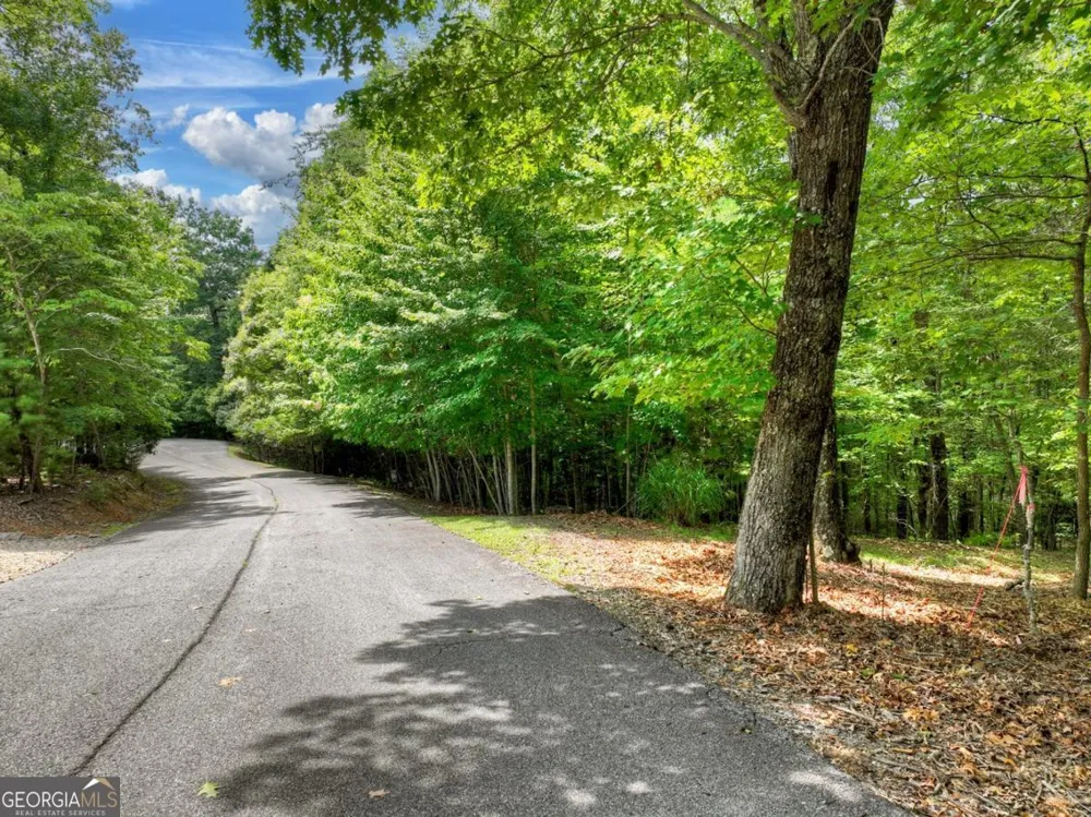 LOT 68 Riverwalk On The Toc Mineral Bluff, GA 30559