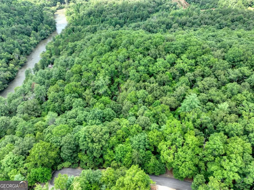 LOT 68 Riverwalk On The Toc Mineral Bluff, GA 30559