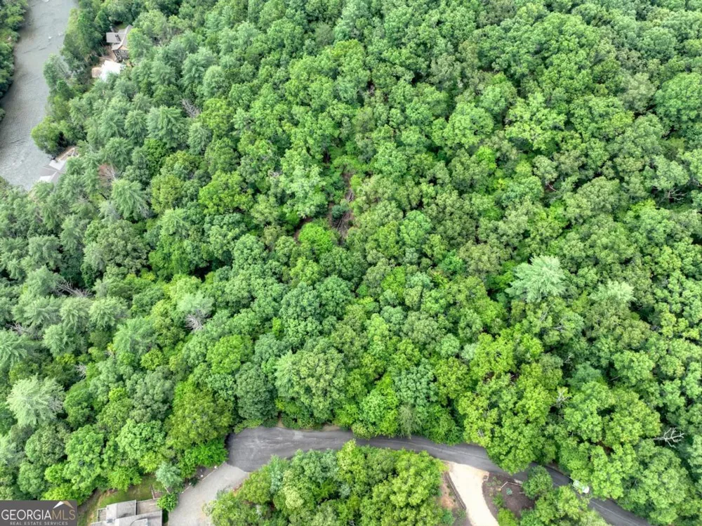 LOT 68 Riverwalk On The Toc Mineral Bluff, GA 30559