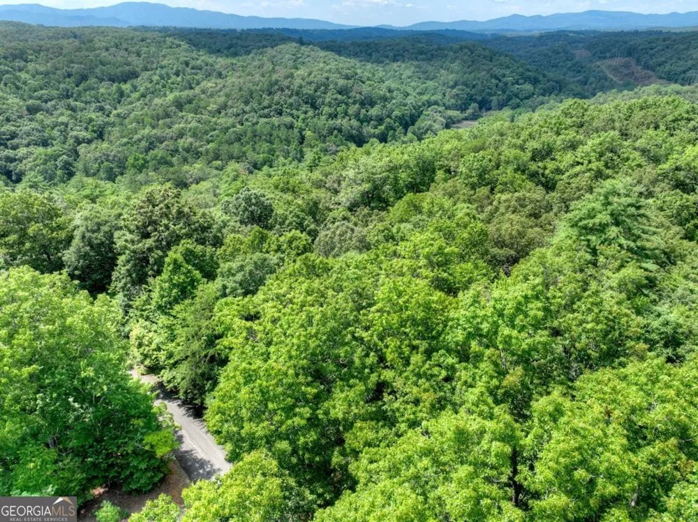 LOT 68 Riverwalk On The Toc Mineral Bluff, GA 30559