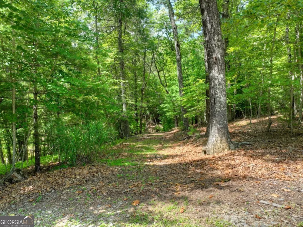 LOT 68 Riverwalk On The Toc Mineral Bluff, GA 30559