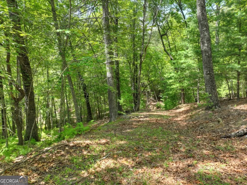 LOT 68 Riverwalk On The Toc Mineral Bluff, GA 30559