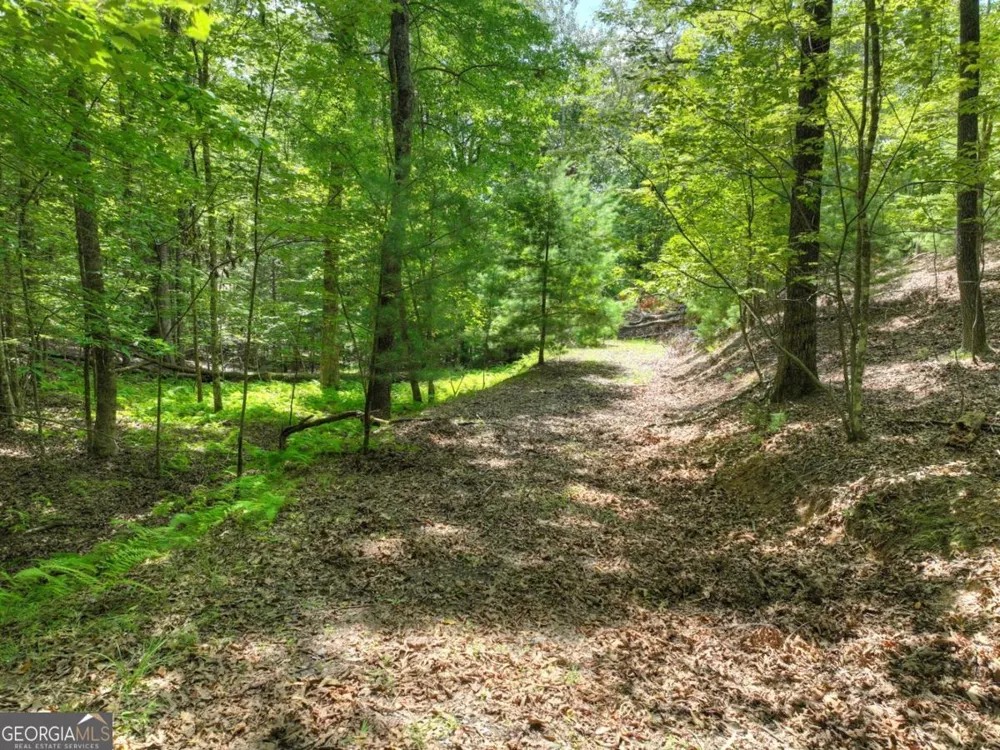 LOT 68 Riverwalk On The Toc Mineral Bluff, GA 30559