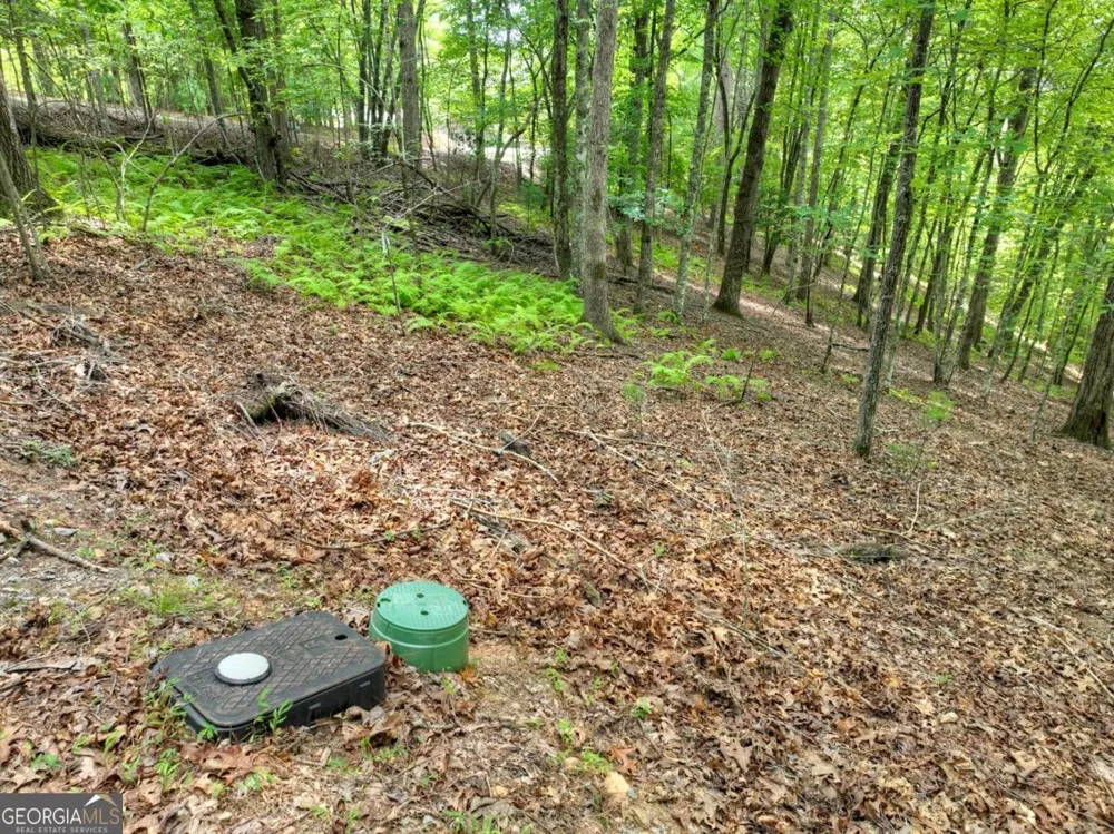 LOT 68 Riverwalk On The Toc Mineral Bluff, GA 30559
