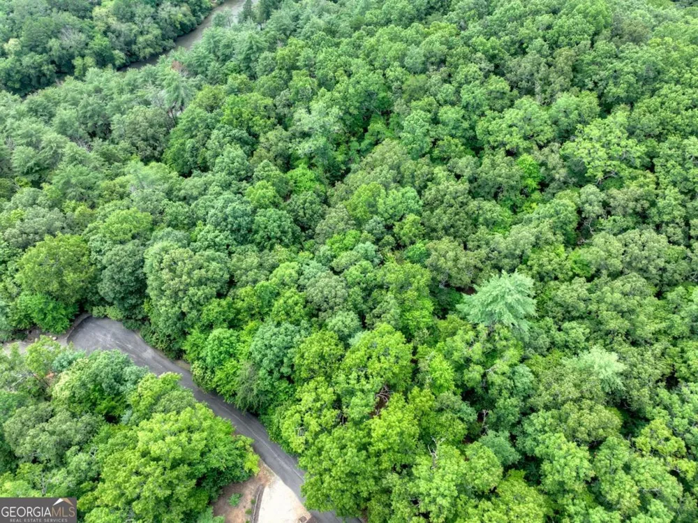 LOT 68 Riverwalk On The Toc Mineral Bluff, GA 30559