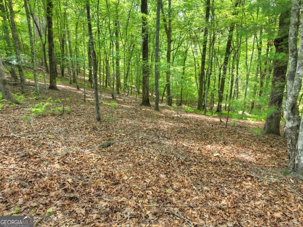 LOT 68 Riverwalk On The Toc Mineral Bluff, GA 30559