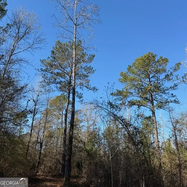 +/- 7.65 ACRES Hut RD Box Springs, GA 31801