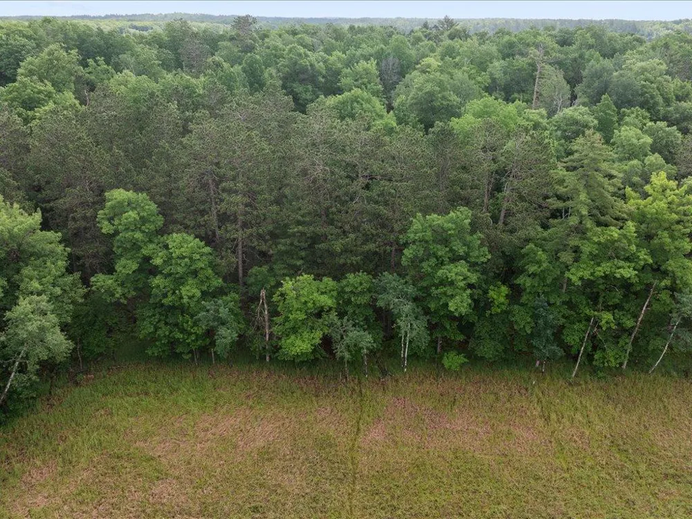 8343 Timber Lane Nisswa, MN 56468