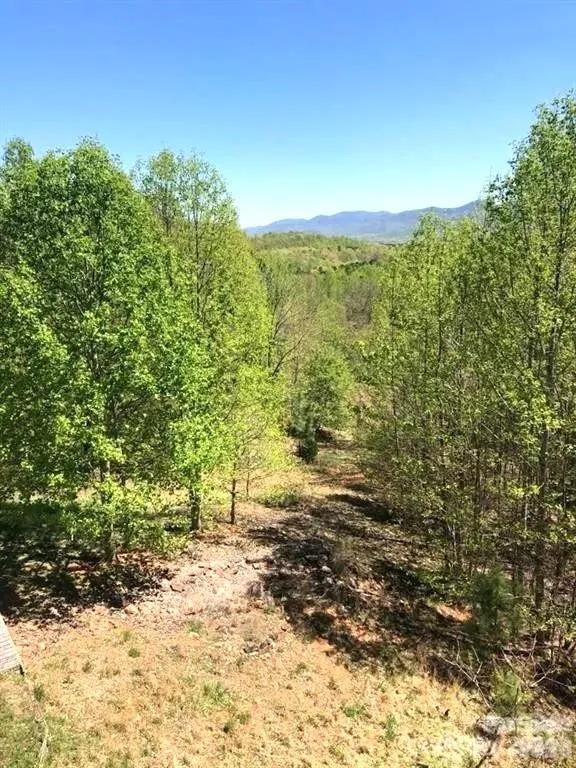453 Grandview Peaks Drive Nebo, NC 28761