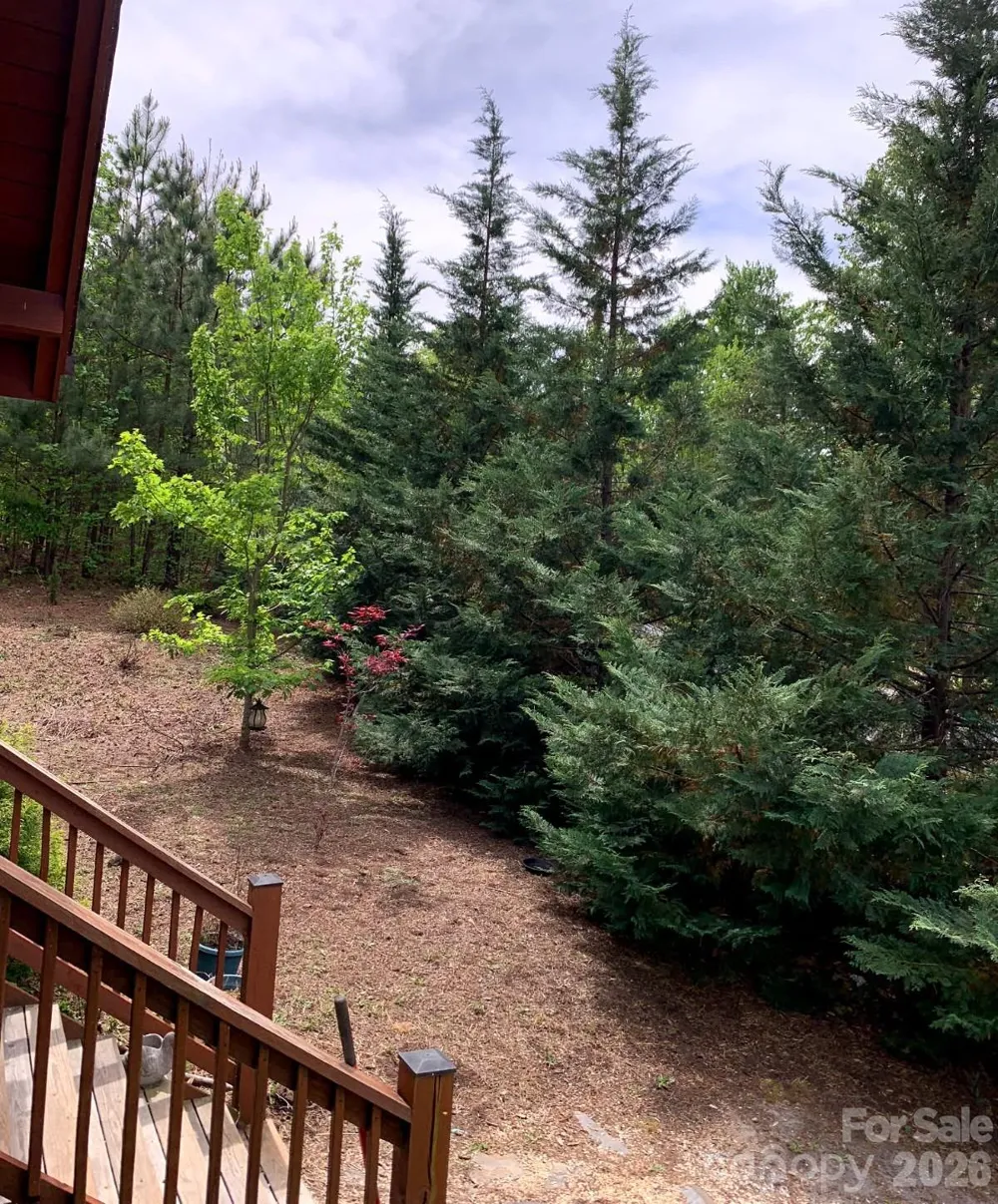 453 Grandview Peaks Drive Nebo, NC 28761