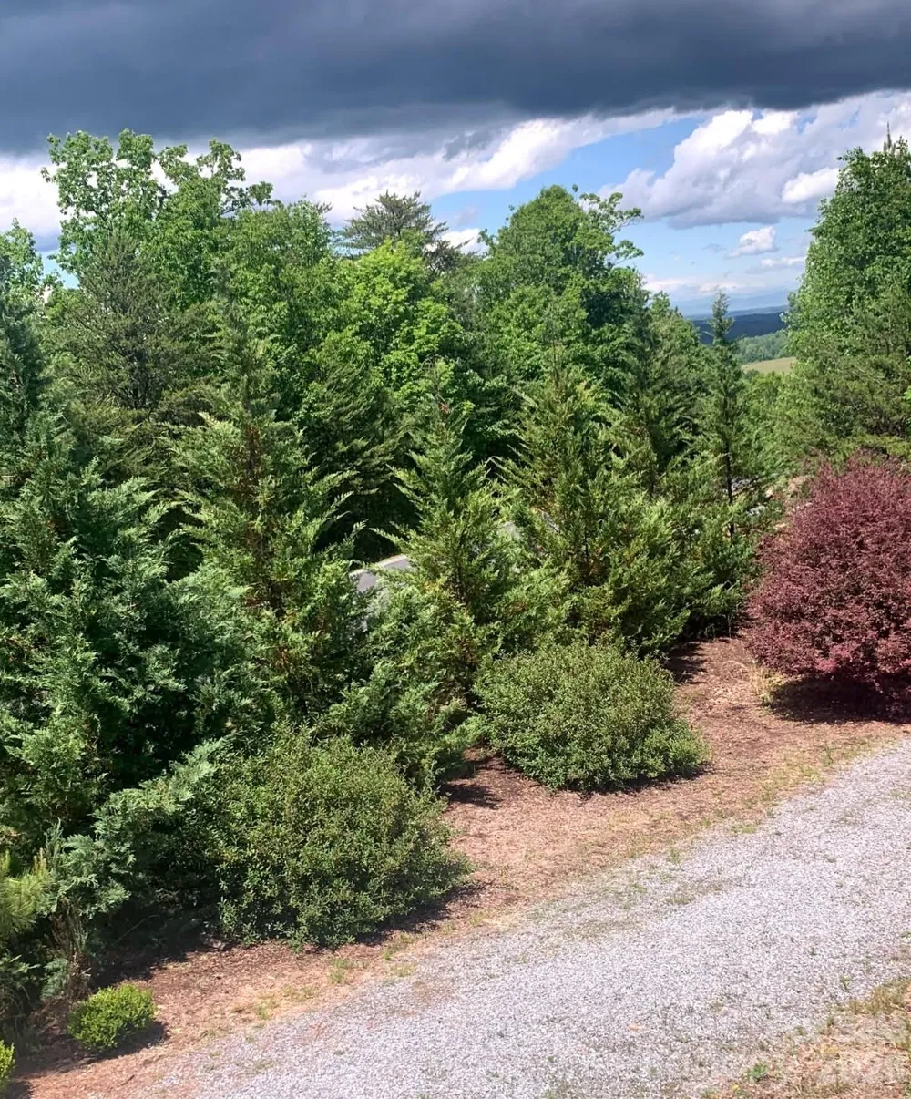 453 Grandview Peaks Drive Nebo, NC 28761
