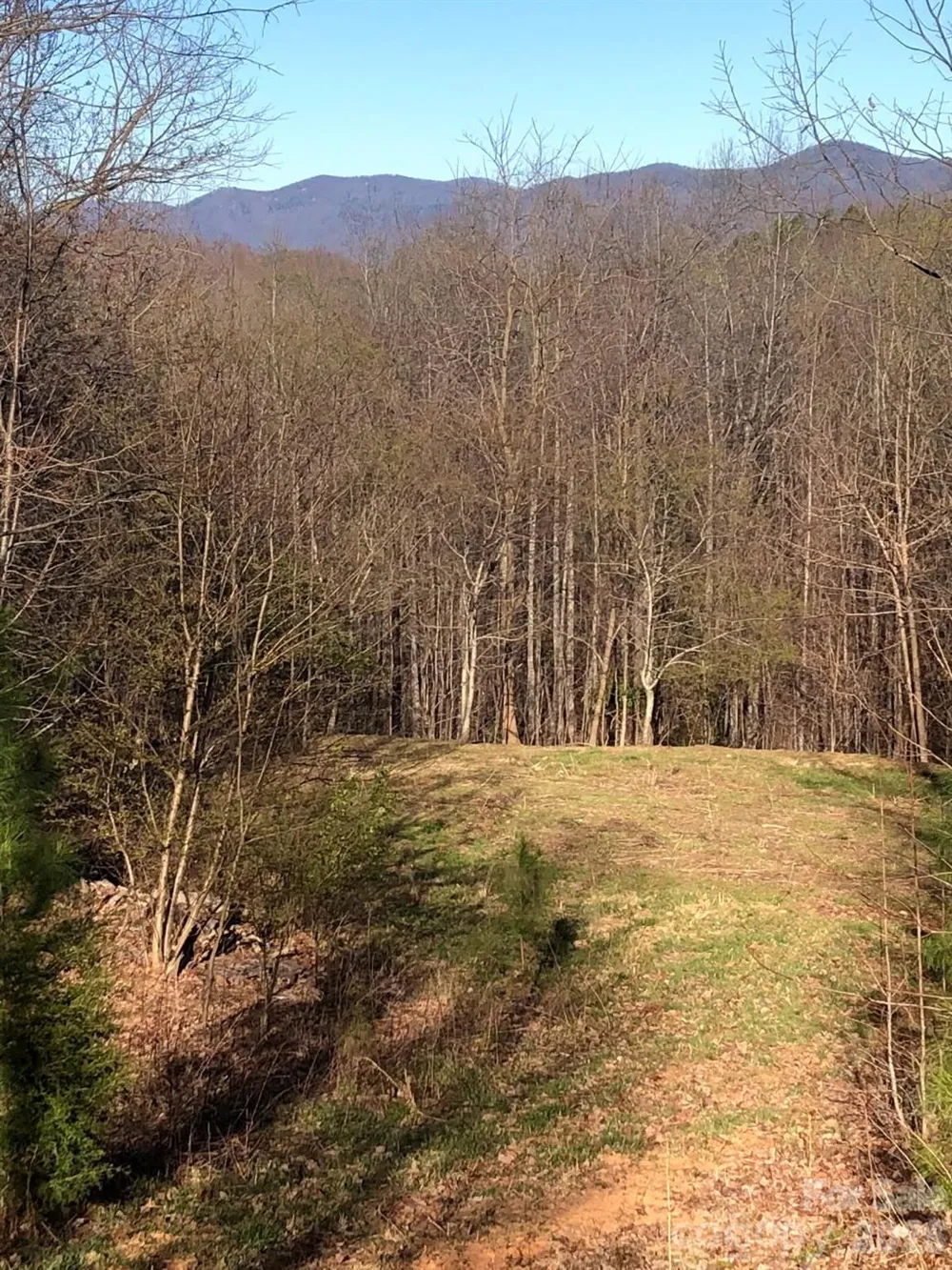 453 Grandview Peaks Drive Nebo, NC 28761