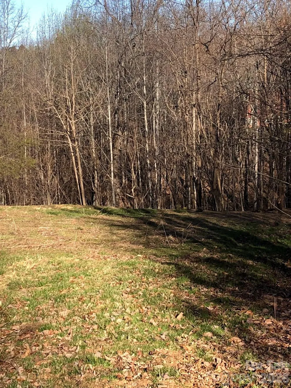 453 Grandview Peaks Drive Nebo, NC 28761
