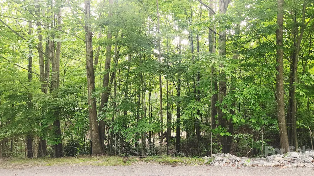 9999 Red Bud Lane #13 Laurel Park, NC 28739