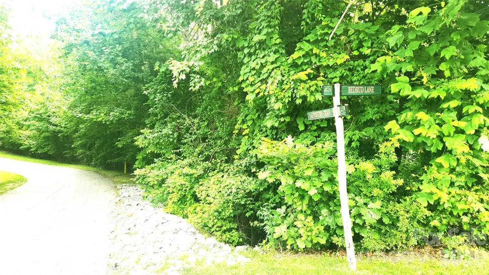 9999 Red Bud Lane #13 Laurel Park, NC 28739