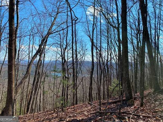LOT 1 High Country LN Morganton, GA 30560