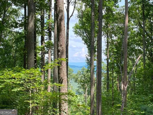 LOT 1 High Country LN Morganton, GA 30560