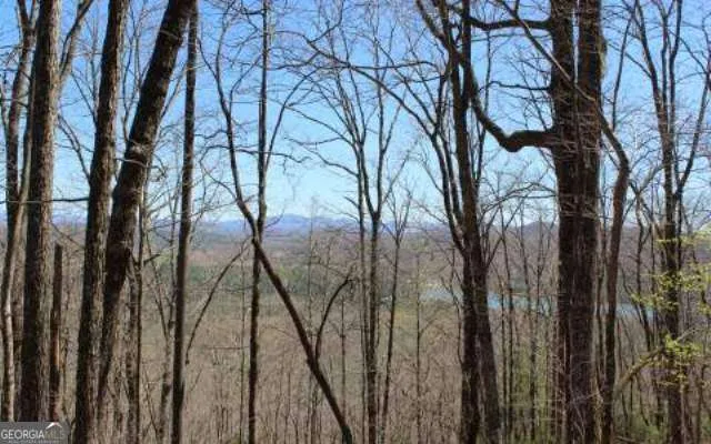 LOT 1 High Country LN Morganton, GA 30560