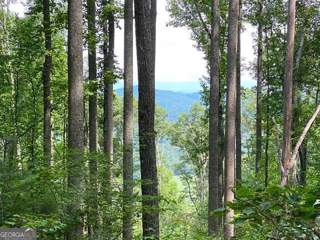 LOT 1 High Country LN Morganton, GA 30560