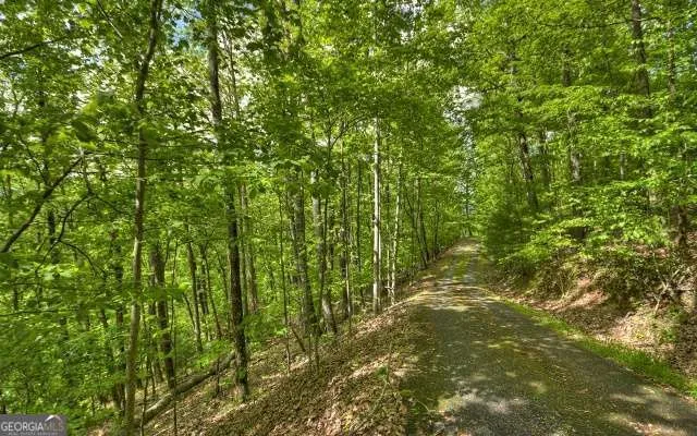 LOT 1 High Country LN Morganton, GA 30560