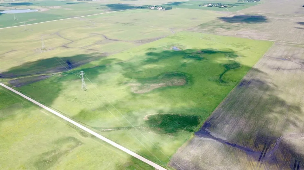 XXXX 200th Street Elbow Lake, MN 56531