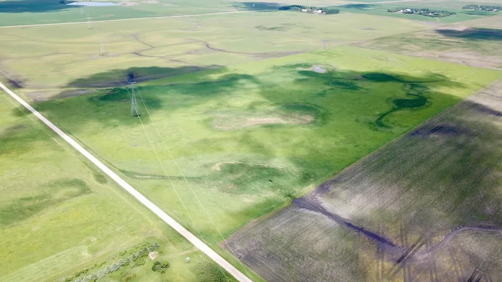 XXXX 200th Street Elbow Lake, MN 56531