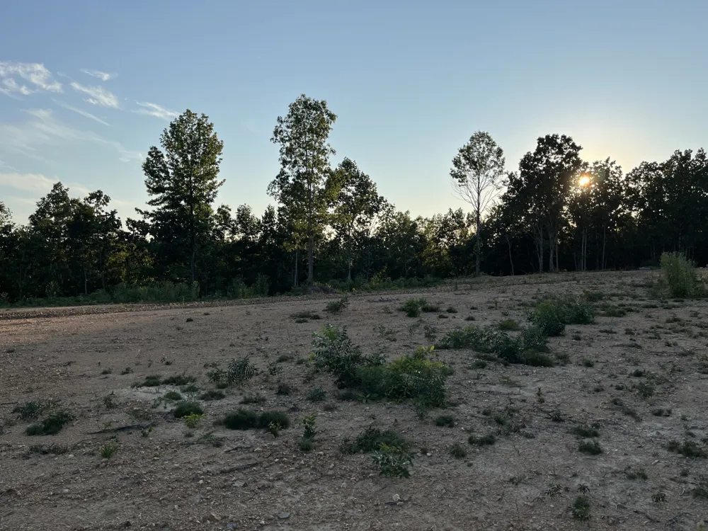 481 Hillbrook Dr Linden, TN 37096