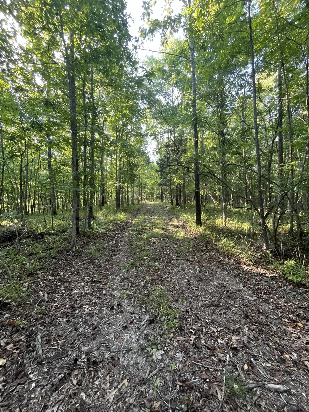 481 Hillbrook Dr Linden, TN 37096