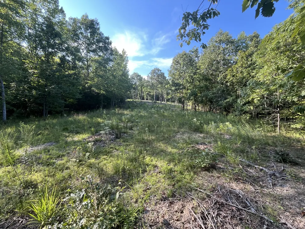 481 Hillbrook Dr Linden, TN 37096