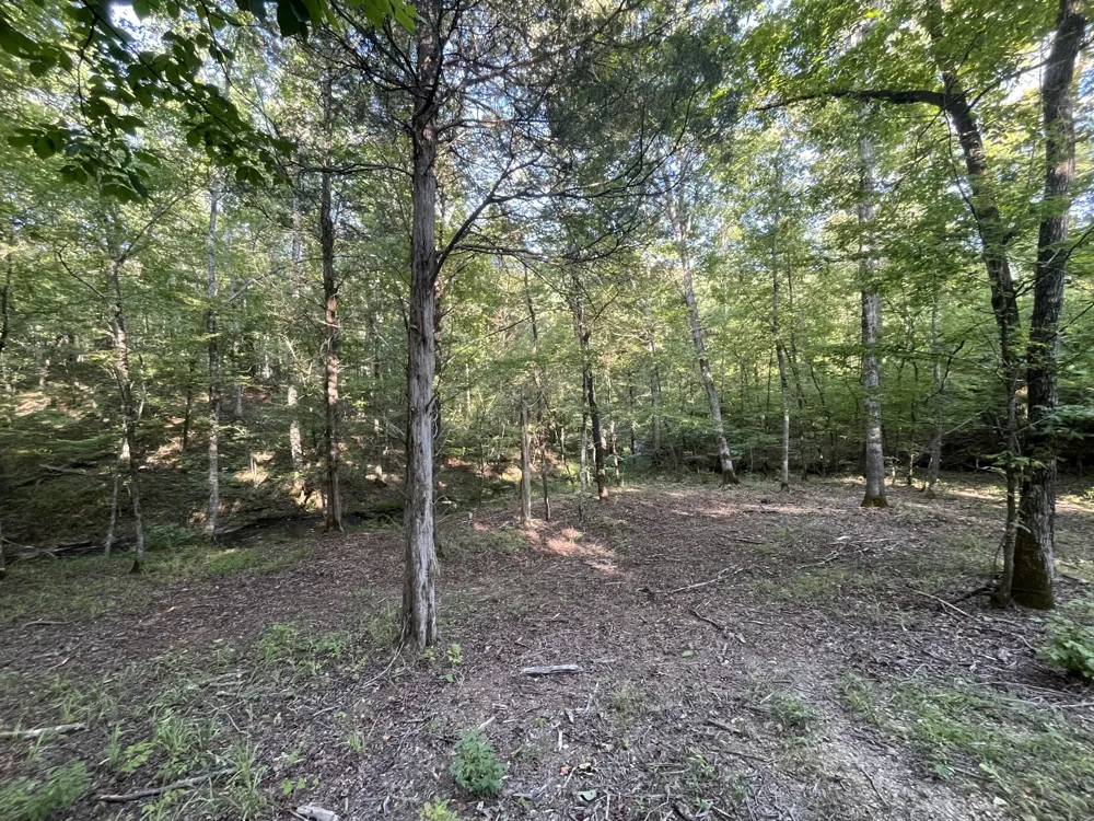 481 Hillbrook Dr Linden, TN 37096