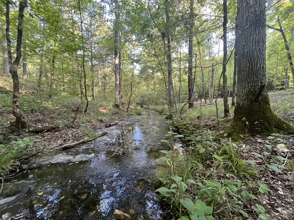 481 Hillbrook Dr Linden, TN 37096